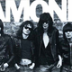 Image for article titled A Ramones museum exhibit is coming to Queens